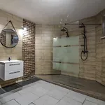Pet Friendly Home In Kamien With Sauna Kamień